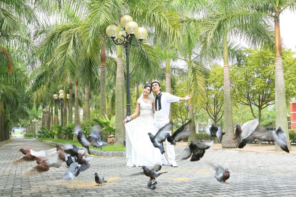Camela Hotel & Resort Hai Phong Exteriér fotografie